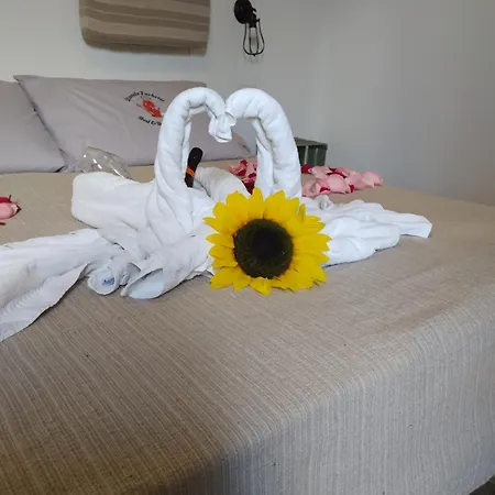 Beb Diavolo Furbetto 3*